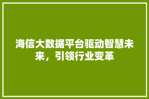 海信大数据平台驱动智慧未来，引领行业变革