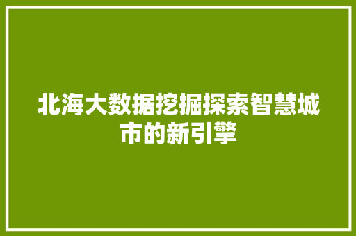 北海大数据挖掘探索智慧城市的新引擎