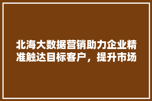 北海大数据营销助力企业精准触达目标客户，提升市场竞争力  第1张
