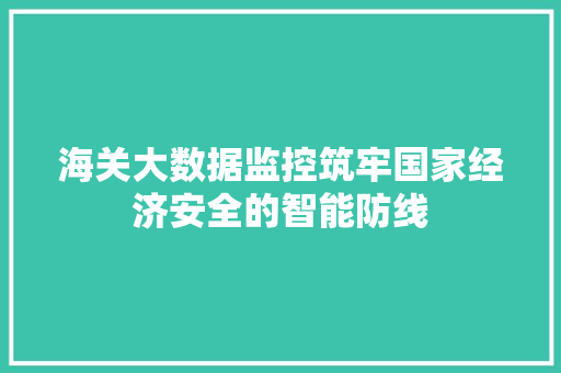 海关大数据监控筑牢国家经济安全的智能防线