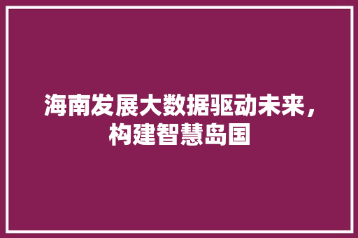 海南发展大数据驱动未来，构建智慧岛国  第1张