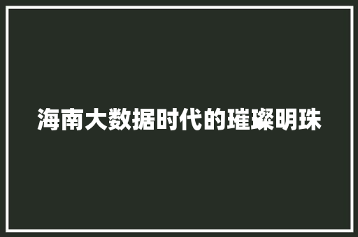 海南大数据时代的璀璨明珠  第1张