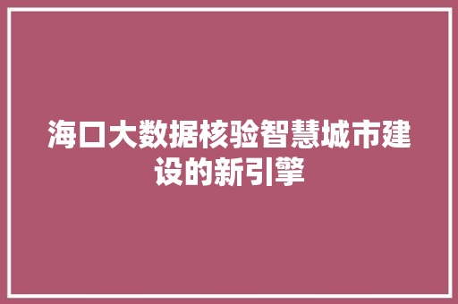 海口大数据核验智慧城市建设的新引擎