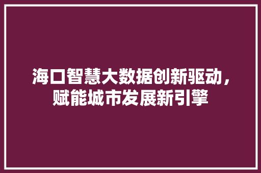 海口智慧大数据创新驱动，赋能城市发展新引擎
