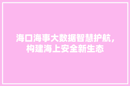 海口海事大数据智慧护航，构建海上安全新生态
