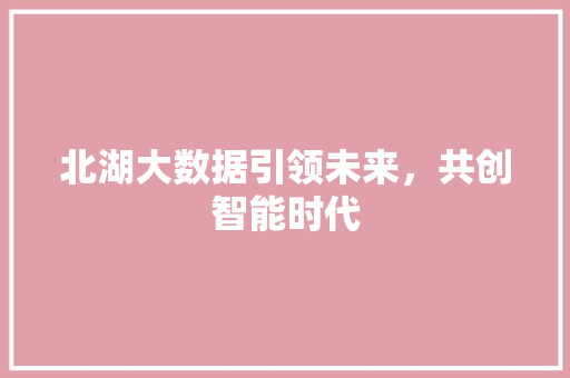北湖大数据引领未来，共创智能时代