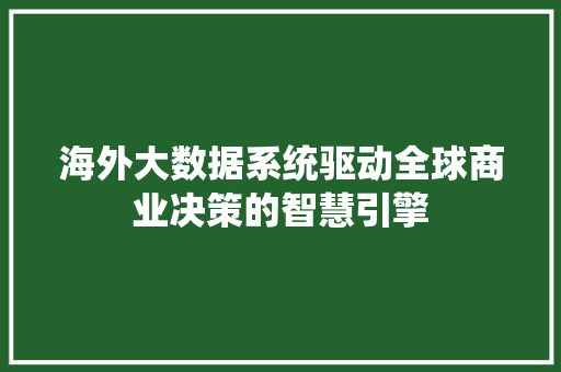 海外大数据系统驱动全球商业决策的智慧引擎  第1张