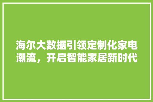 海尔大数据引领定制化家电潮流，开启智能家居新时代