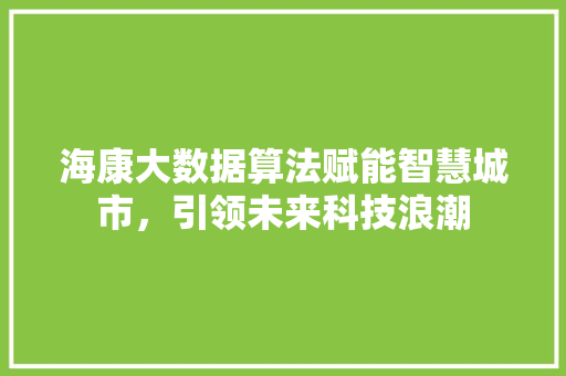 海康大数据算法赋能智慧城市，引领未来科技浪潮