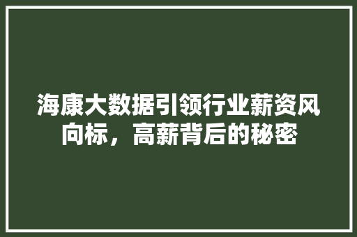 海康大数据引领行业薪资风向标，高薪背后的秘密