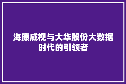 海康威视与大华股份大数据时代的引领者