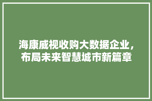 海康威视收购大数据企业，布局未来智慧城市新篇章