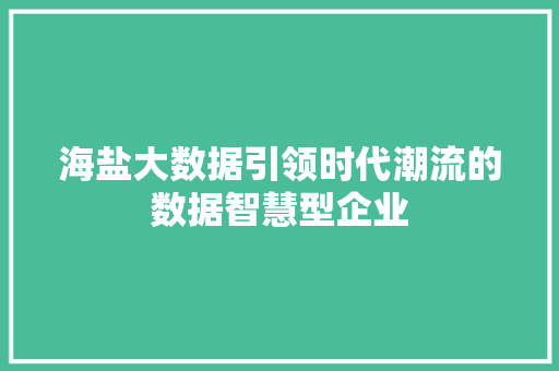 海盐大数据引领时代潮流的数据智慧型企业