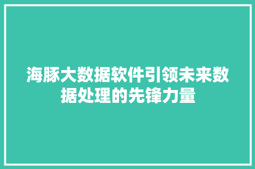 海豚大数据软件引领未来数据处理的先锋力量