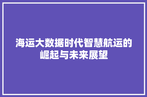 海运大数据时代智慧航运的崛起与未来展望