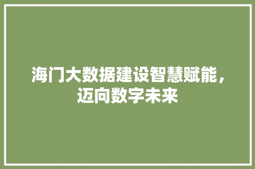 海门大数据建设智慧赋能，迈向数字未来  第1张