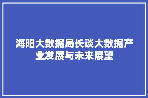海阳大数据局长谈大数据产业发展与未来展望  第1张