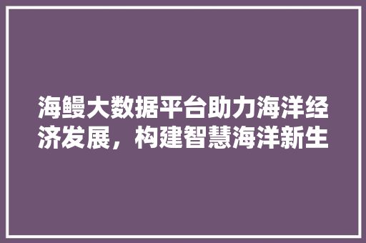 海鳗大数据平台助力海洋经济发展，构建智慧海洋新生态  第1张