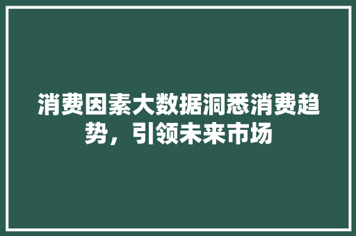 消费因素大数据洞悉消费趋势，引领未来市场  第1张
