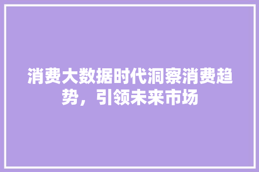 消费大数据时代洞察消费趋势，引领未来市场  第1张