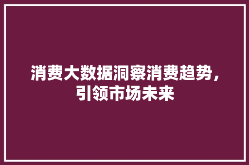 消费大数据洞察消费趋势，引领市场未来  第1张