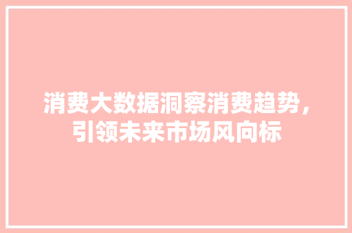 消费大数据洞察消费趋势，引领未来市场风向标  第1张