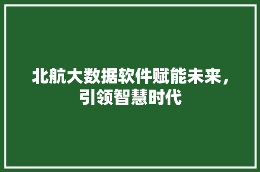 北航大数据软件赋能未来，引领智慧时代