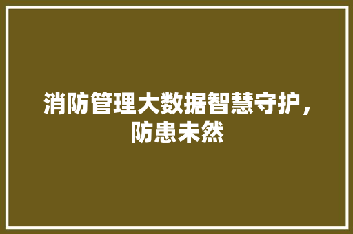 消防管理大数据智慧守护，防患未然  第1张