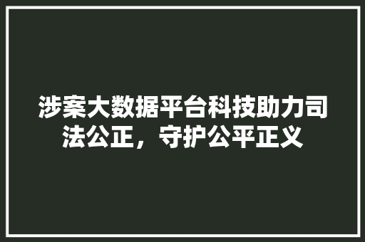 涉案大数据平台科技助力司法公正，守护公平正义