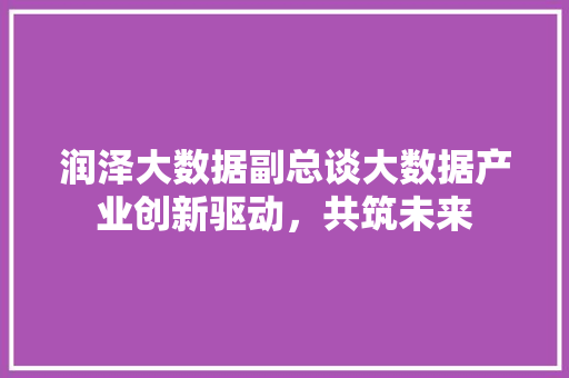 润泽大数据副总谈大数据产业创新驱动，共筑未来  第1张