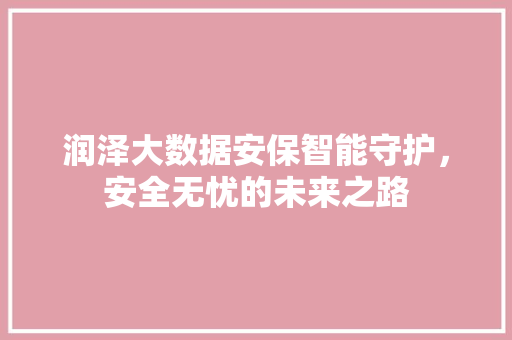 润泽大数据安保智能守护，安全无忧的未来之路