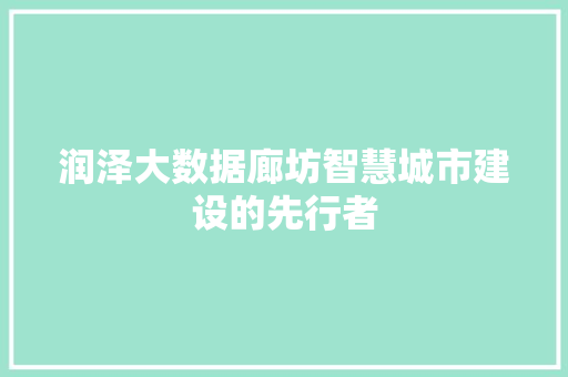 润泽大数据廊坊智慧城市建设的先行者