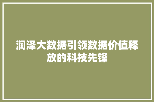 润泽大数据引领数据价值释放的科技先锋  第1张