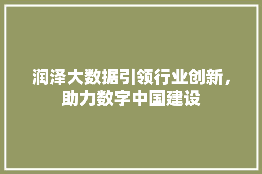 润泽大数据引领行业创新，助力数字中国建设  第1张