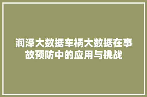 润泽大数据车祸大数据在事故预防中的应用与挑战