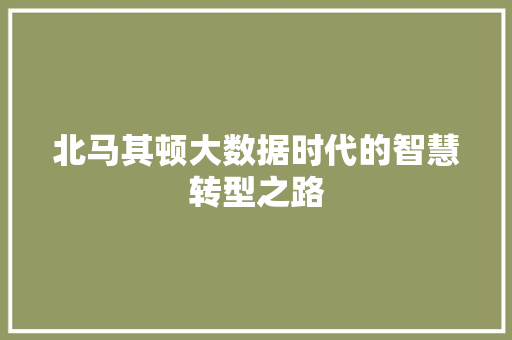 北马其顿大数据时代的智慧转型之路
