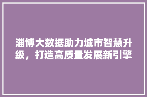 淄博大数据助力城市智慧升级，打造高质量发展新引擎