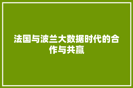 法国与波兰大数据时代的合作与共赢