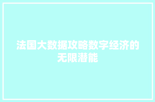 法国大数据攻略数字经济的无限潜能