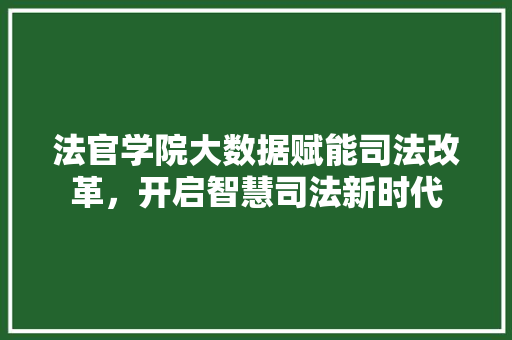 法官学院大数据赋能司法改革，开启智慧司法新时代