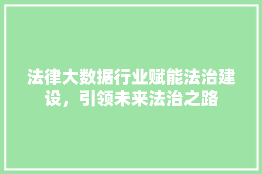 法律大数据行业赋能法治建设，引领未来法治之路