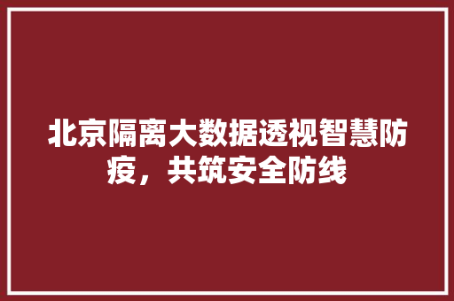 北京隔离大数据透视智慧防疫，共筑安全防线