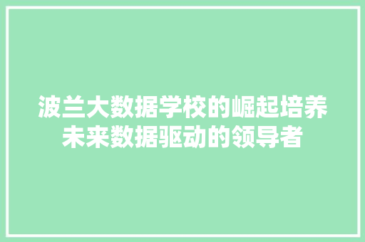 波兰大数据学校的崛起培养未来数据驱动的领导者  第1张