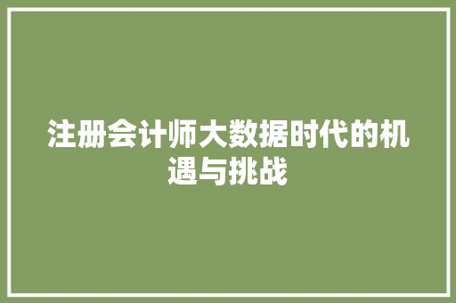 注册会计师大数据时代的机遇与挑战