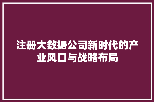 注册大数据公司新时代的产业风口与战略布局