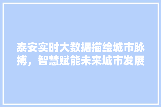 泰安实时大数据描绘城市脉搏，智慧赋能未来城市发展