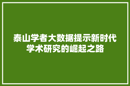 泰山学者大数据提示新时代学术研究的崛起之路
