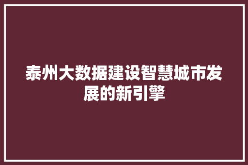 泰州大数据建设智慧城市发展的新引擎