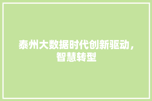 泰州大数据时代创新驱动，智慧转型