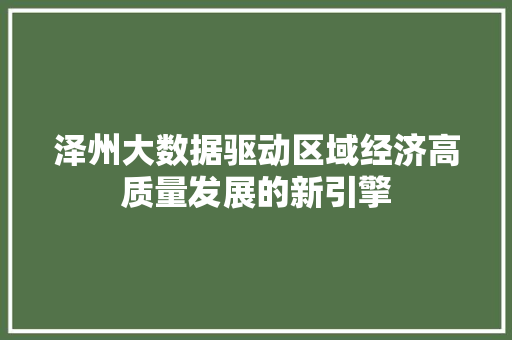 泽州大数据驱动区域经济高质量发展的新引擎  第1张